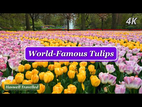 Stunning Keukenhof Gardens – World-Famous Tulips | Netherlands 4K