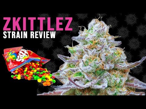 skittles seeds video