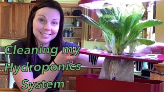 How To Clean The iDOO Hydroponic LED Grow System | 6 Week Update | EverCrest
