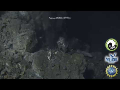 15 Second Science - Energy from Sulfur Compounds