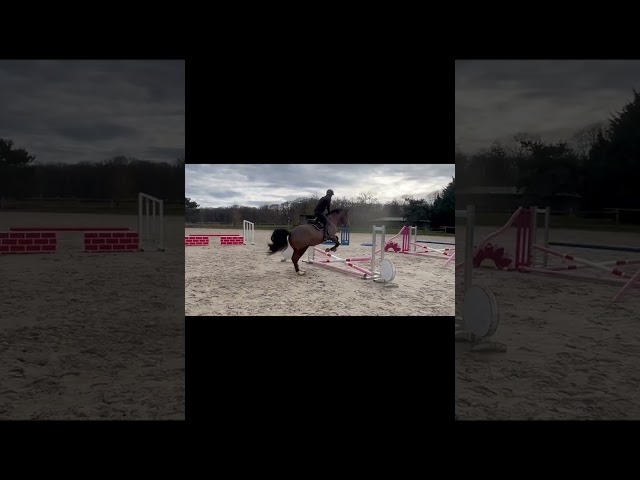 Cheval d&rsquo;avenir 