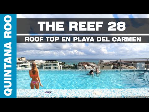 Videos del The Reef 28 5★ en Playa del Carmen, MéxicoVerPrecios19CerrarConsulta por Whatsapp 🇦🇷BookingTripadvisorExpediaAgodaTravelocityOrbitzPricelineTripSkyscannerDespegarKayakHotelesBestdayDestiniaTrivagoLastminuteHotwireCheapticketsTui