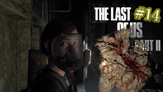 [PS4実況] #14 ラストオブアスⅡ