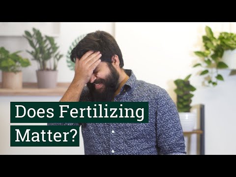 Houseplant Care: A Beginner's Guide to Fertilizer from Costa Farms