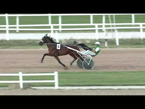 2020.08.29. 08. futam - 2020. ÉVI SEGÉDHAJTÓ KUPA IV. FUTAMA HENDIKEP