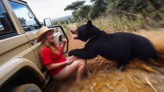 85 of the Most Powerful Animal Moments Caught on Camera