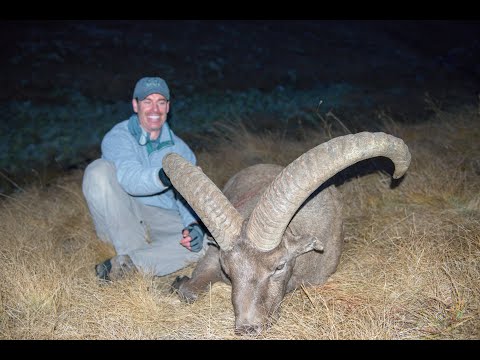 download lagu mp3 mp4 A Tur, download lagu A Tur gratis, unduh video klip A Tur