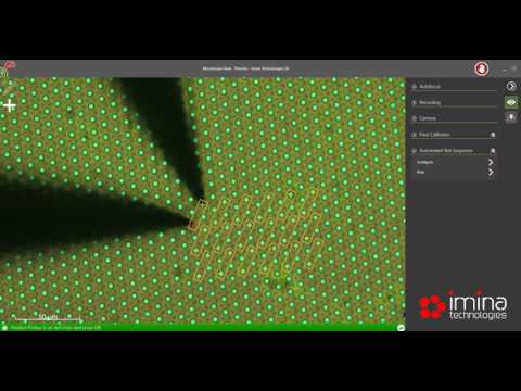 Imina-Automated Electrical Probing at Micron Scale