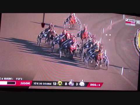 Prix Doynel de Saint Quentin, Vincennes le 3 décembre 2016