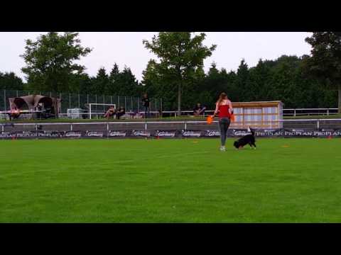 Nina und Neyla Disc-Dog-Challenge Hohenlohe
