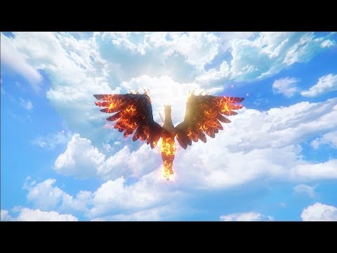 Domando Calypto - ICARUS BR