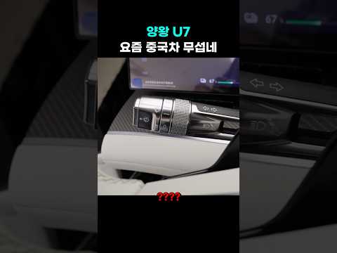 요즘 중국차 무섭네(feat.양왕 U7)