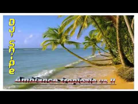 DJ' Snipe   Ambiance tropicale II wmv