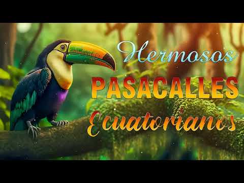 Hermosos Pasacalles Ecuatorianos - Pasacalles Antiguos Del Ecuador