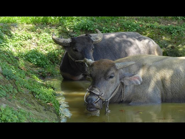 Taipei National University of the Arts