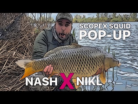 TEST BOILIES™ NASH X NIKL POP-UP SCOPEX SQUID - Pořádná jízda na skvělý pop-up! Miluju SCOPEX SQUID!