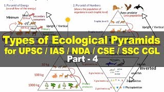 Types of Ecological Pyramids - Energy, Biomass, Numbers | Environment and Ecology for UPSC Part 4