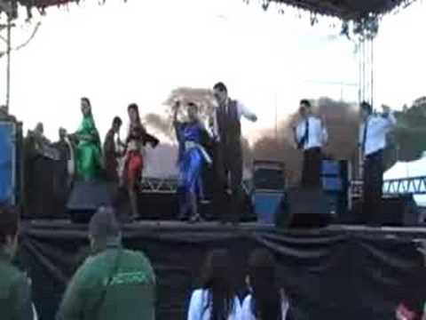 Nipponfest 2008