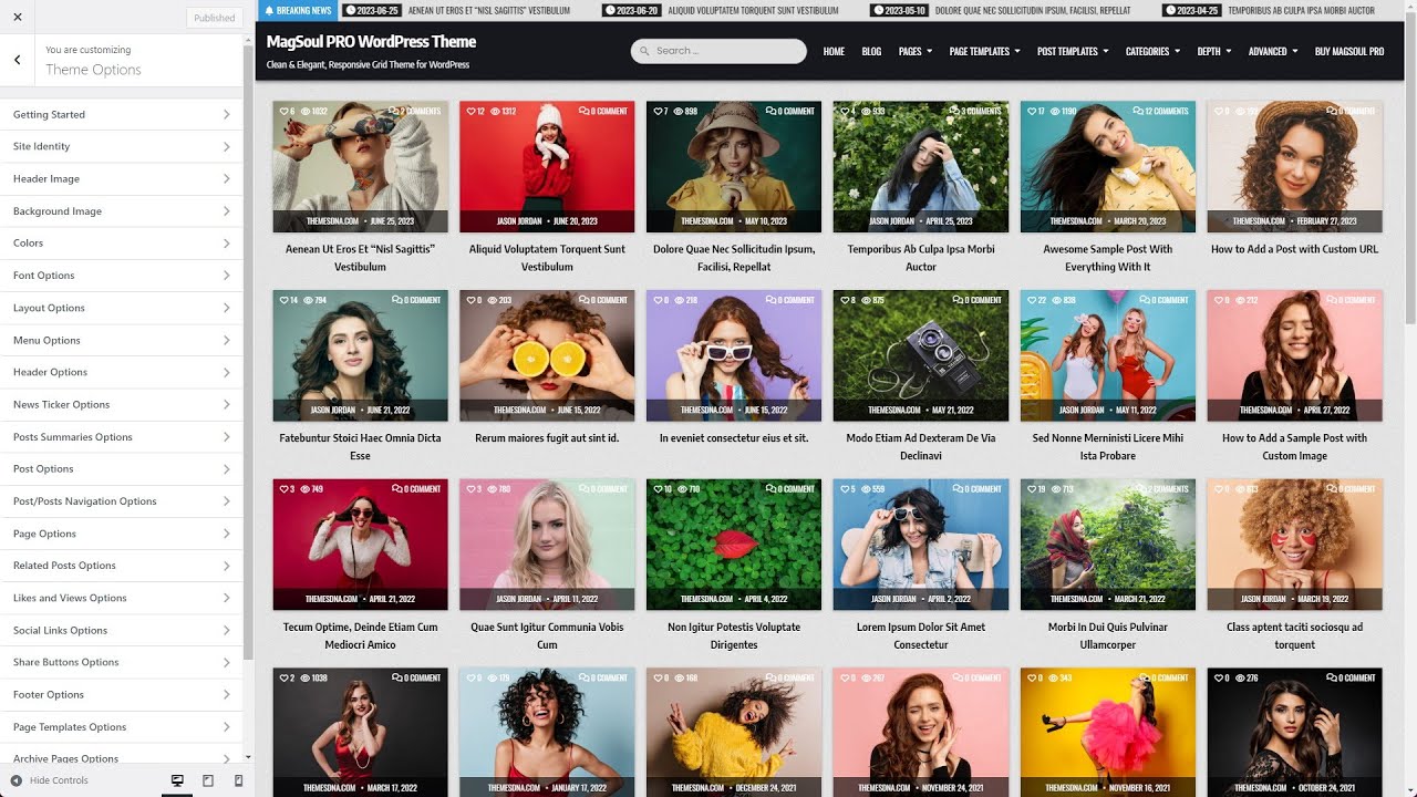 Customizer Theme Options - MagSoul PRO WordPress Theme
