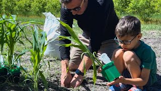 New Garden Adventure Begins TODAY!