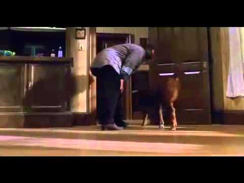 "Misery non deve morire."  Scena più spaventosa del film