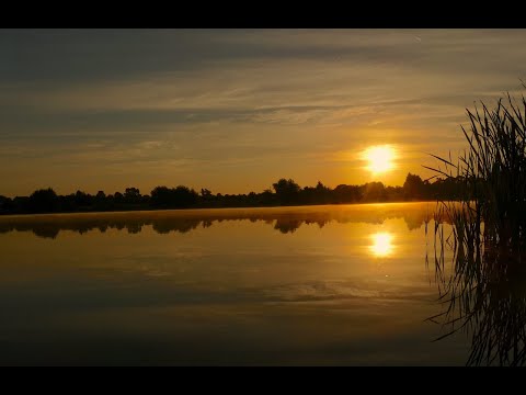 Big Pit diary - CARP fishing 2018