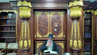 שולחן ערוך אורח חיים סימן ד' סעיף י' עד הסוף - דיני נטילת ידים | הרב מאיר דוד שמואלי