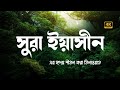 সূরা ইয়াসীন এর অন্তর জুড়ানো তেলাওয�