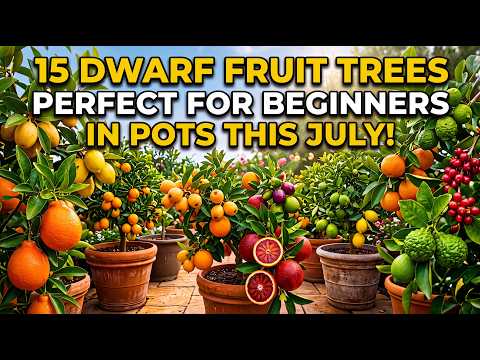 15 Dwarf Fruit Trees Perfect for Beginners to Grow in Pots This July