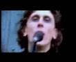 Siela - the crow 