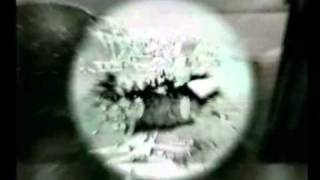End Of Orgy - orange orange