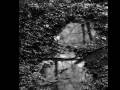 Michel Sardou - La Neige
