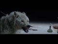THE KILLS - Siberian Nights (Official Music Video 2016)