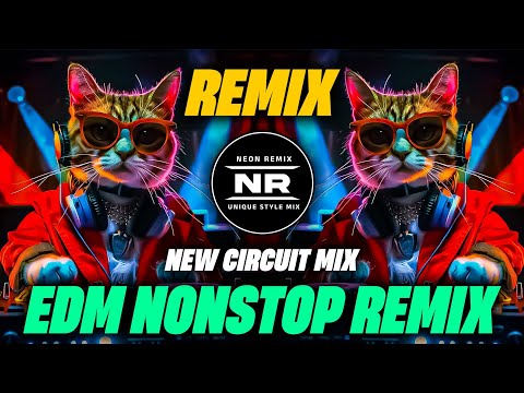 Edm Nonstop Remix | Unique Style Mix | Retro Dj Song 2025 | DJ Neon Remix