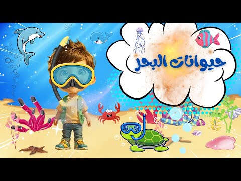 Aquatic Animals for Kids in Arabic  -حيوانات البحر باللغة العربية للاطفال