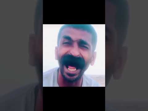 Meow’s one tap, 4 enemies gone #callofdutymobile #codmobile #codm