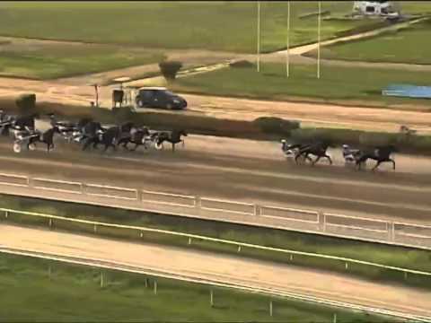 Trotto 15/06/2014 Corsa 8