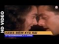 Hawa Mein Kya Hai Jhankar Beats Jaagruti S P Balasubramaniam K S Chithra Salman Khan