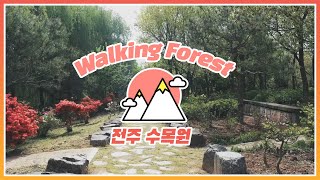​[#Walking Forest] 꽃 내음이 폴폴 풍기는 전주 수목원