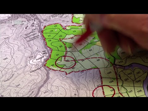 hitec: Unser Wald in 100 Jahren - Förster mit Weitblick