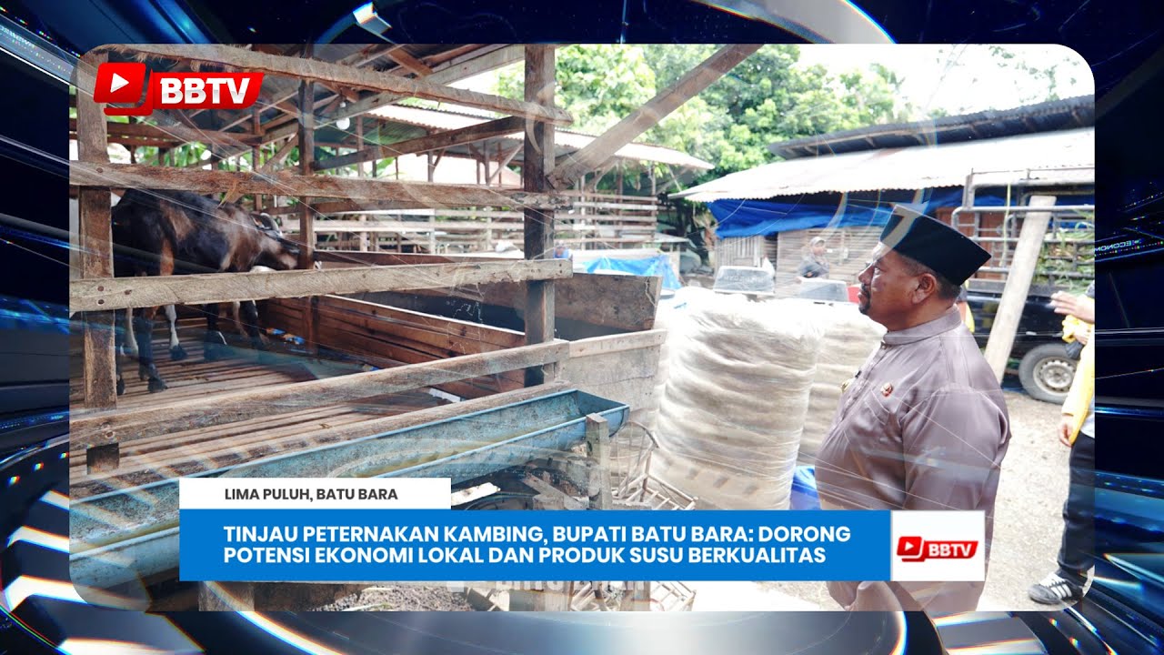 TINJAU PETERNAKAN KAMBING, BUPATI BATU BARA: DORONG POTENSI EKONOMI LOKAL & PRODUK SUSU BERKUALITAS