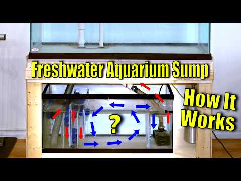 Aquarium Sump Explained: Ultimate Guide on How Aquarium Sumps Work