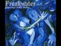 Freakwater - Dark as a Dungeon (M. Travis Cover)