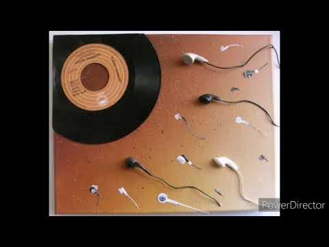 SON DE TEUF Fenek 01 le tout Paris (ÉDITH PIAF)