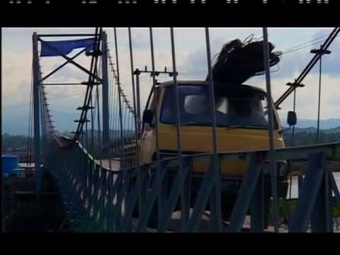 Trailer Playing between Elephants