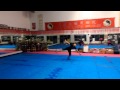 Butterfly Twist Tornado Kick Combo