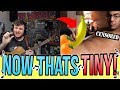 Singing For WIENERS On Omegle