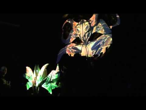 ☯ ALREADY MAGED LIVE 2/4 ☯ AMORA ☯ Protokultura,Gdańsk ☯ 14.02.2016 ☯