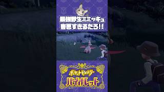 野生色違いミミッキュの、最強戦法！【ポケモンSV】
