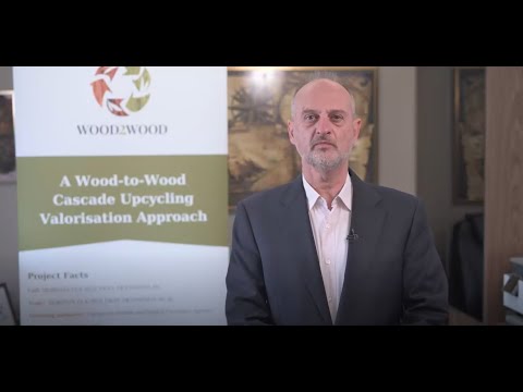 Wood2Wood "Meet the Partner" #1 - ICCS